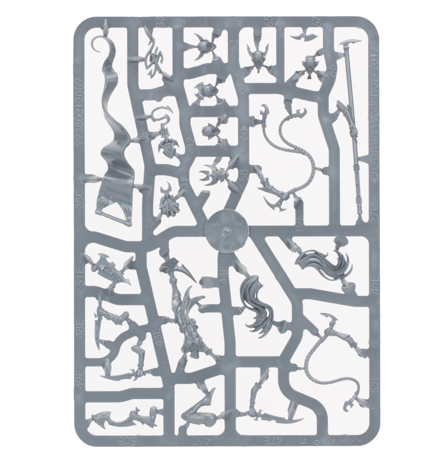 Witch Aelves / Hexenkriegerinnen