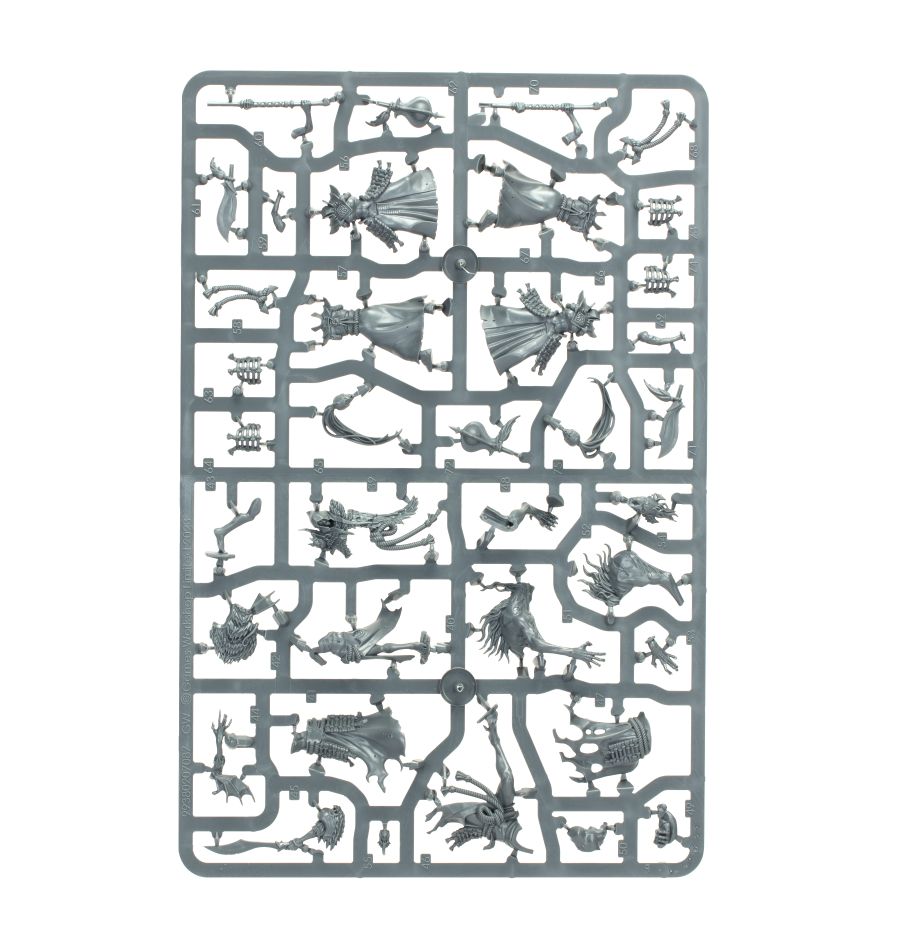 Warcry: Askurga-Klingenmeister