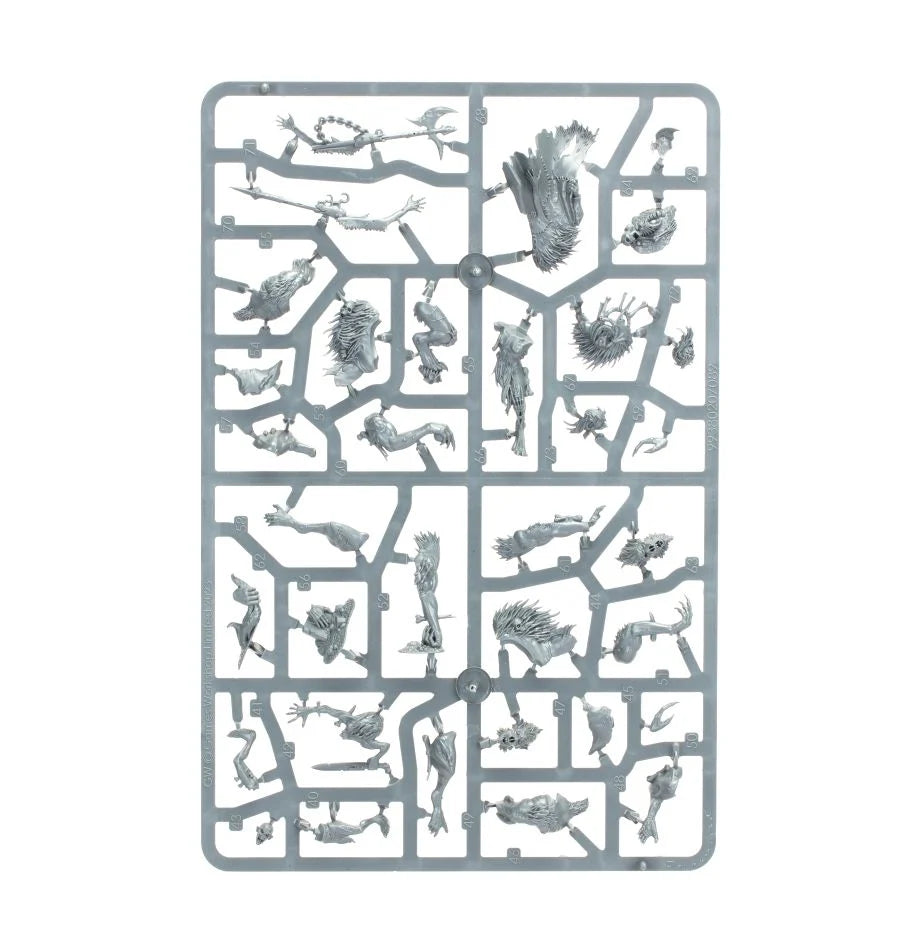 Warcry: Königliche Bestienhäuter