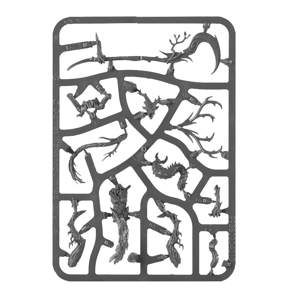 Vorhut der Sylvaneth