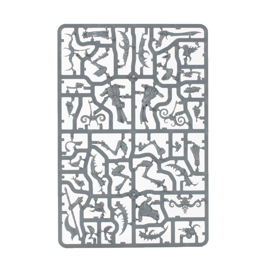 Vorhut der Hedoniten des Slaanesh