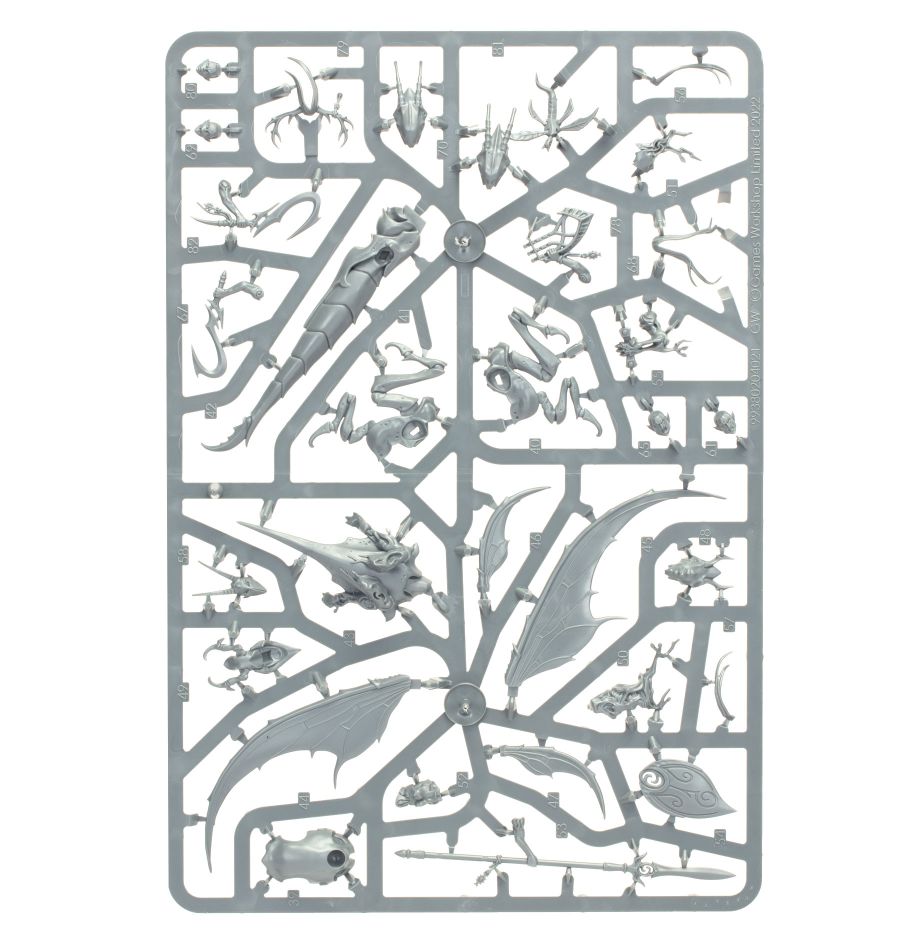 Drachenkäfer-Lanzenreiter