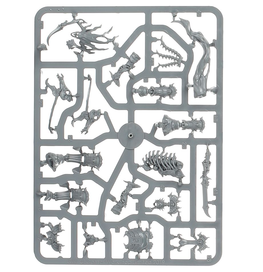 Arch-Kavalos Zandtos