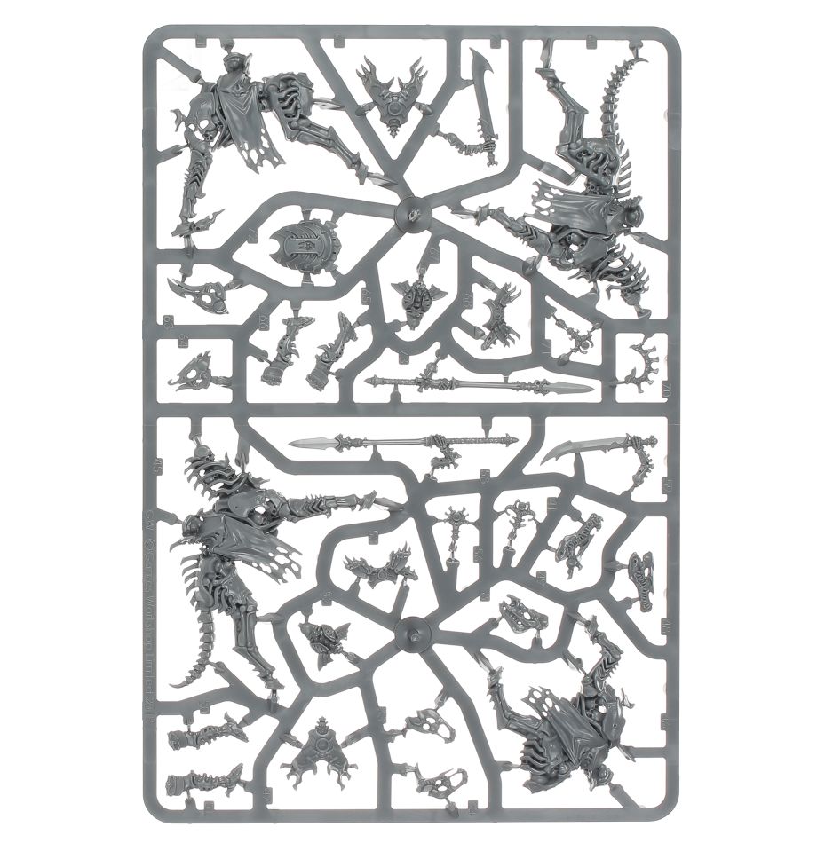 Vorhut der Knochenlegionen der Ossiarch