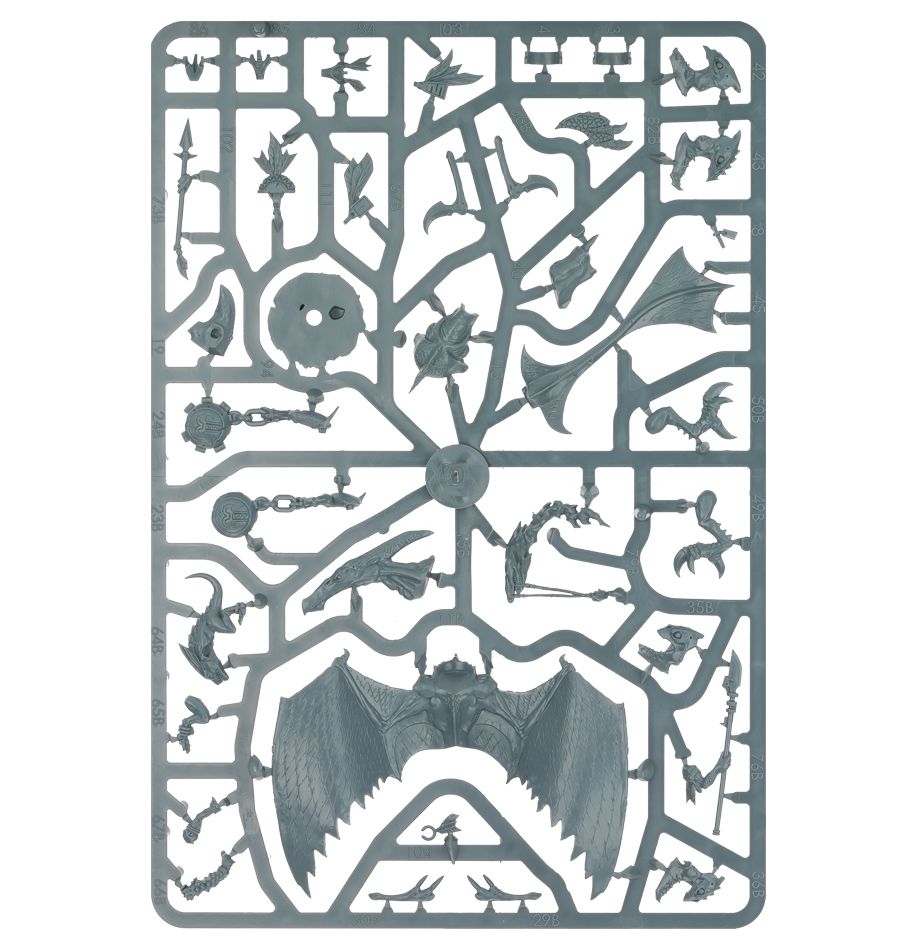 Raptodaktylus-Reiter