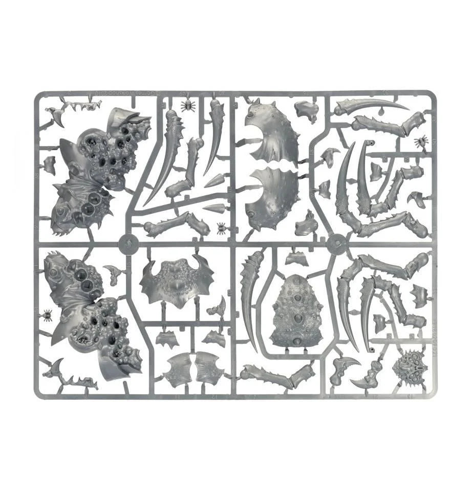 Netzspinner-Schamane auf Arachnarok-Spinne