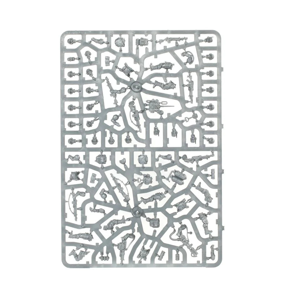 Cadianische Stoßtruppen