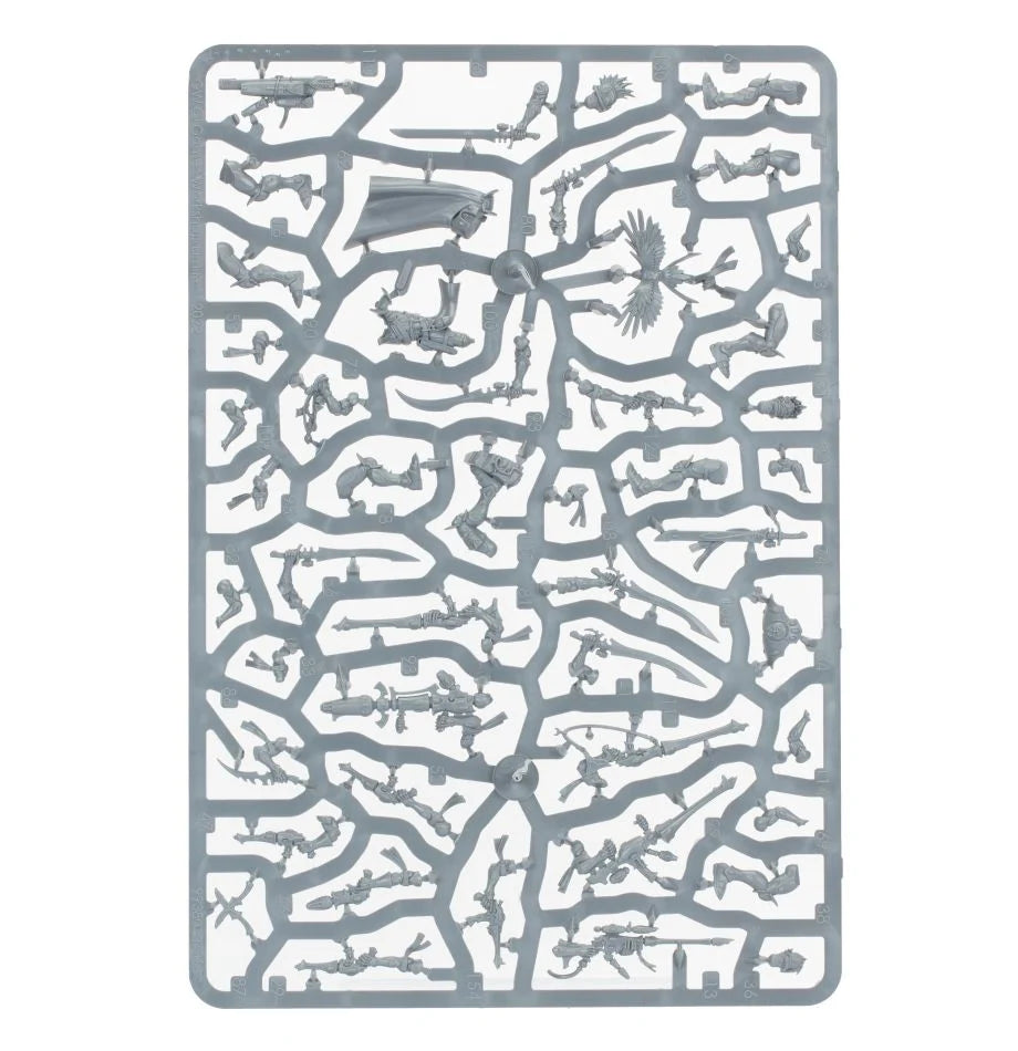 Kill Team: Sternwunden-Korsaren