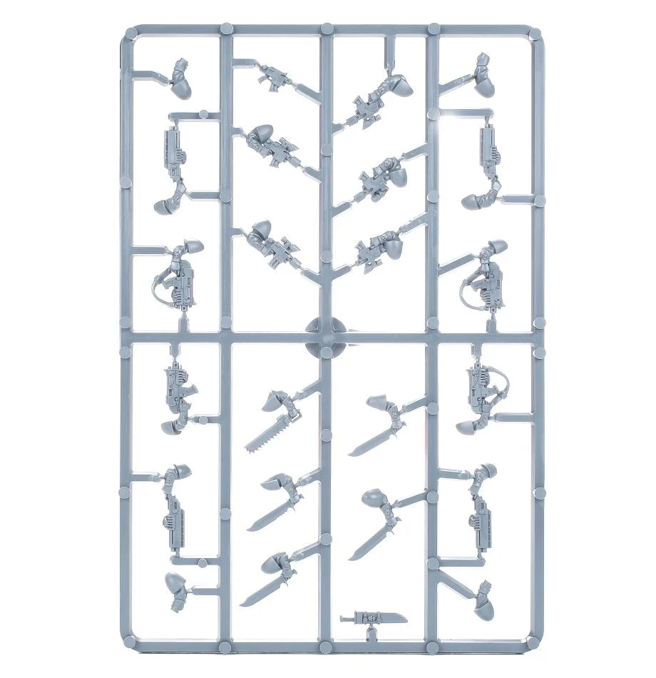 Scouts der Space Marines