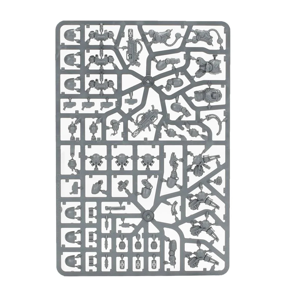 Primaris-Eradicatoren