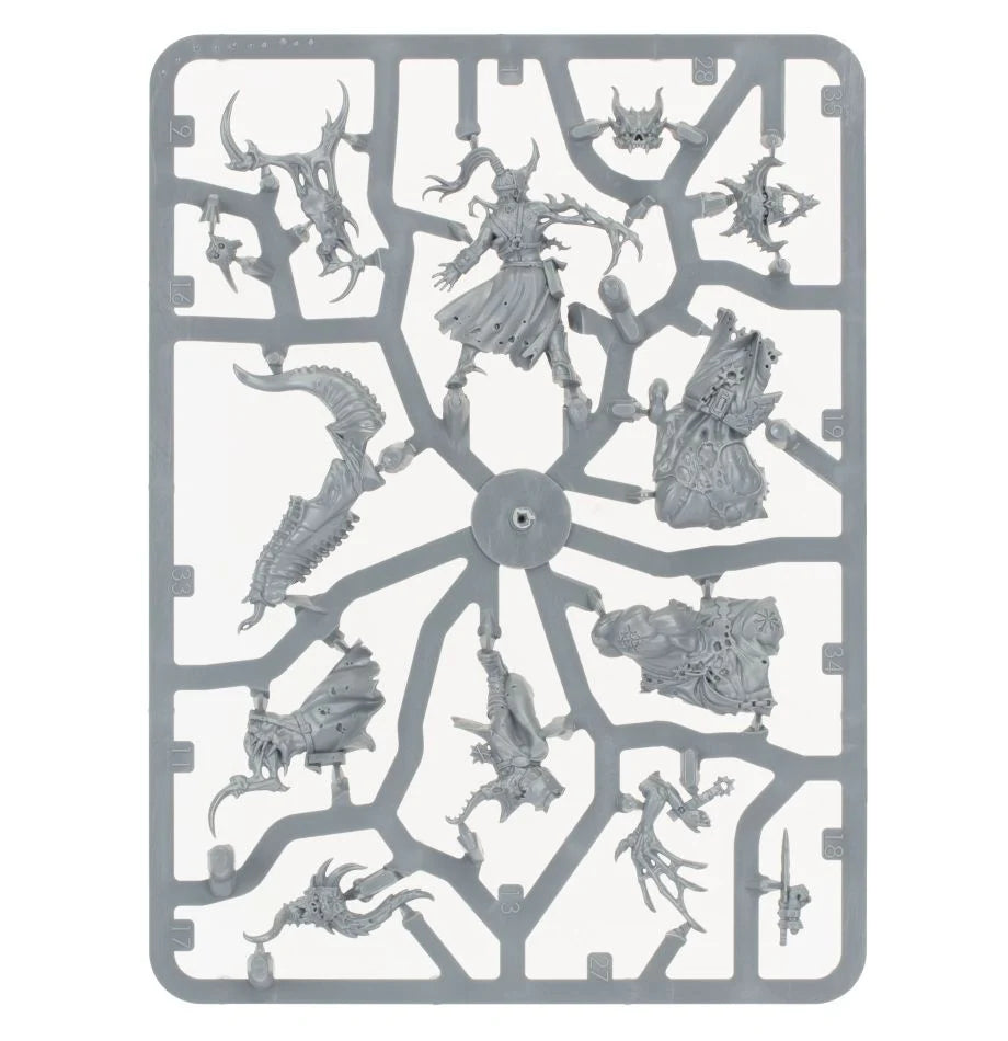 Verfluchte Kultisten