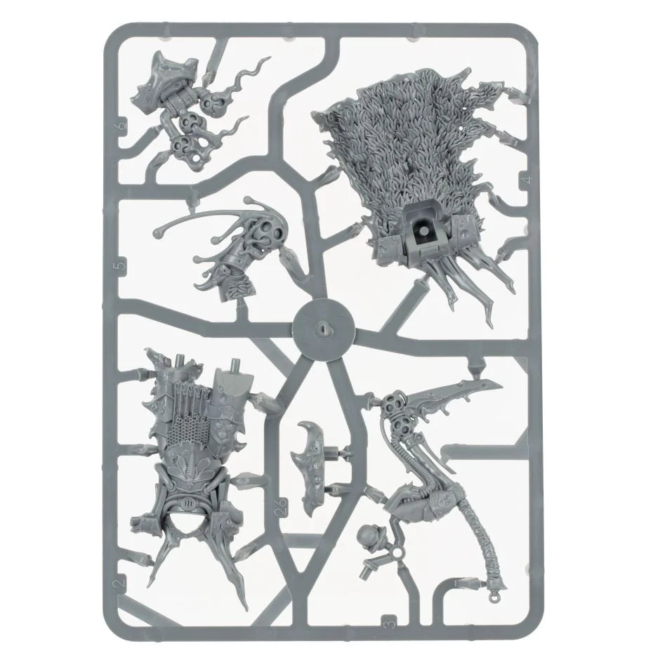 Fürst Felthius und die Verderbte Kohorte