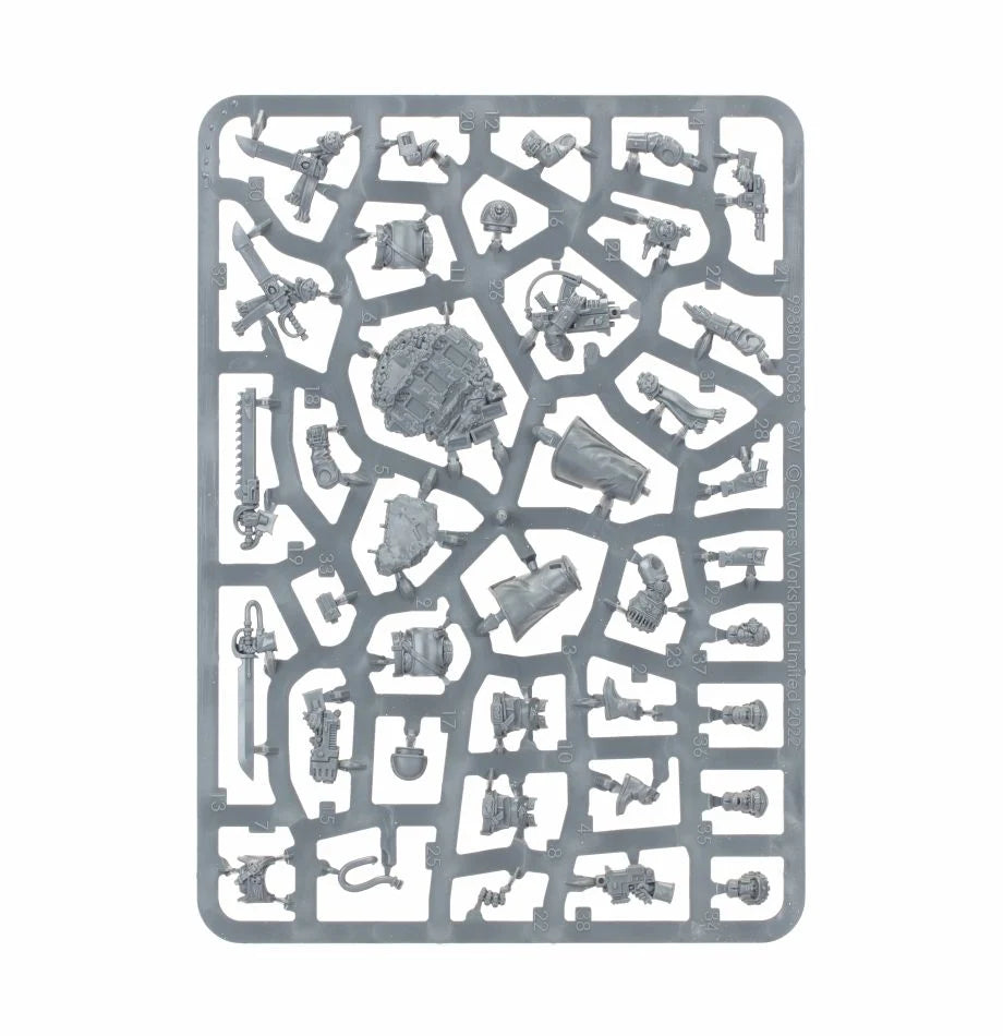 Cadianischer Kastellan