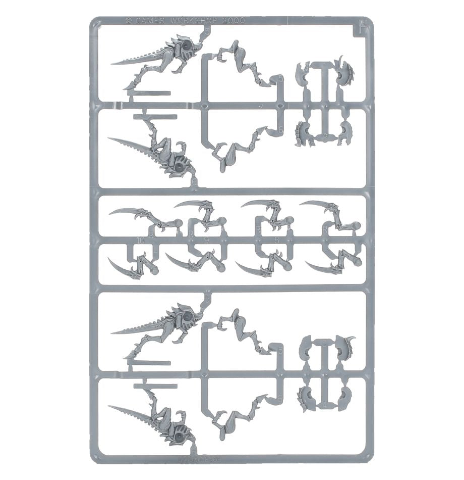 Tyraniden Hormagantenrotte