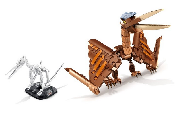 Dinosauria Pterosauria + Fossil